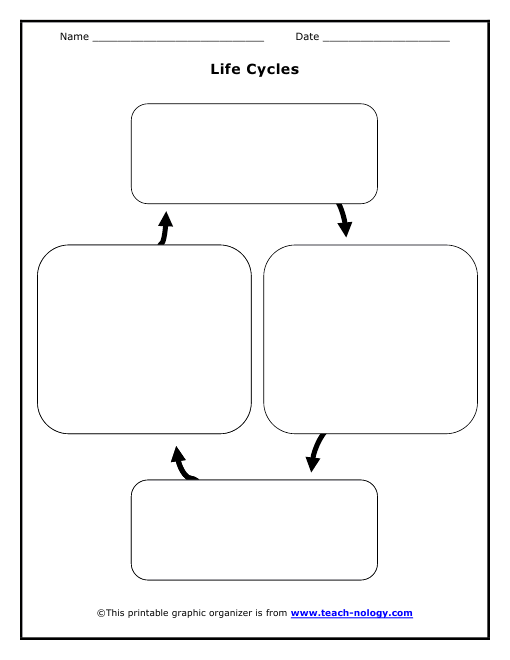 Life Cycle Chart Template