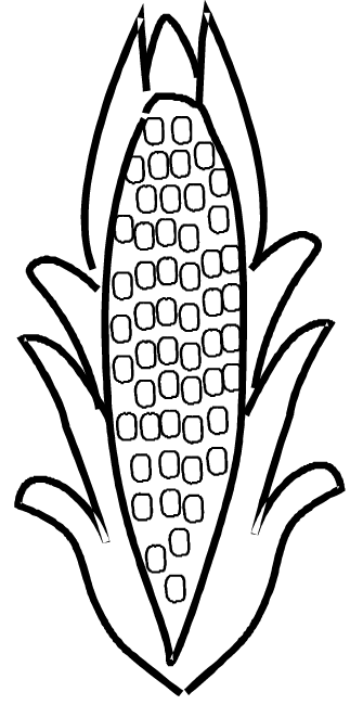 corn coloring