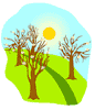 Spring Trees